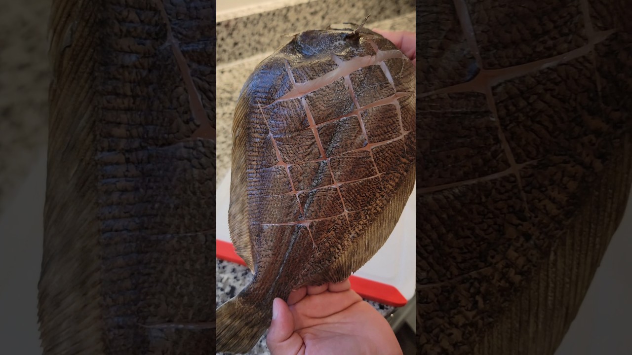 baby flounder fried whole