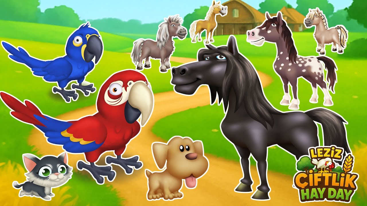 🦜 HEDİYE ÇEKLERİNİ BU HAYVANLARA HARCADIM! 💸 DEĞER MİYDİ? HAYDAY