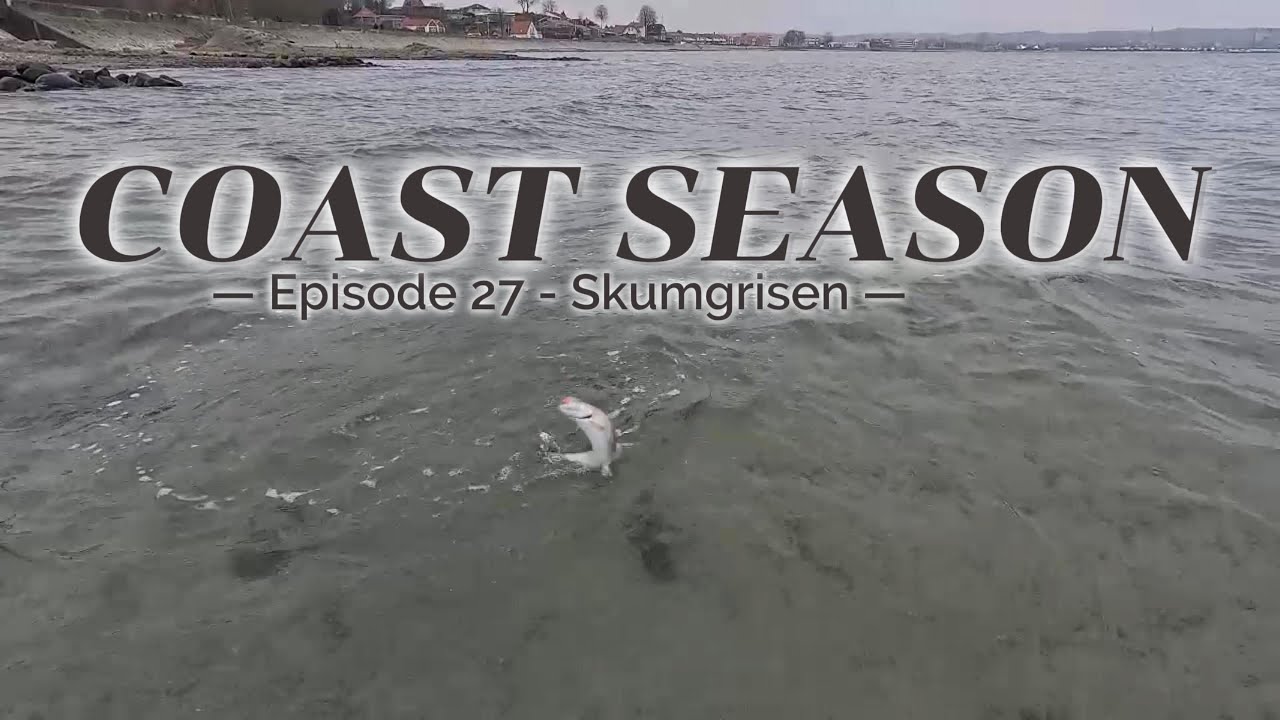 Coastal flyfishing for Seatrout - in Denmark