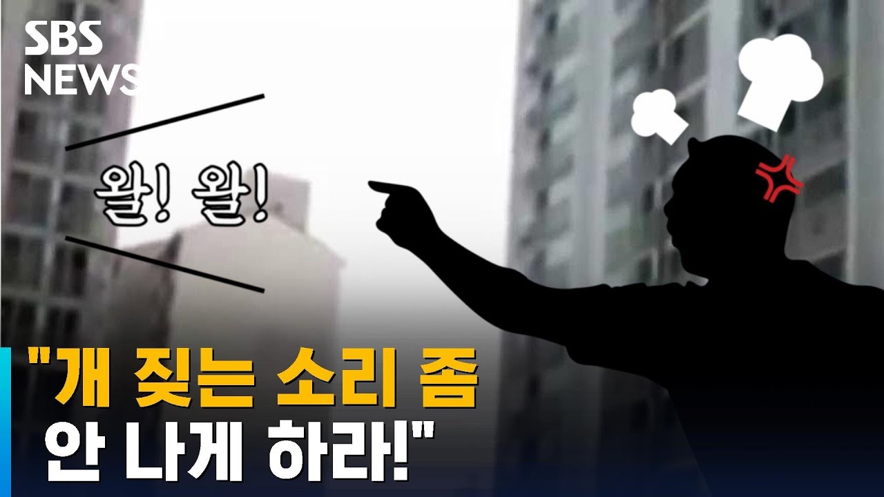 사람 잡는 '개 짖는 소리'…'소음' 아니라고? / SBS / 뉴블더