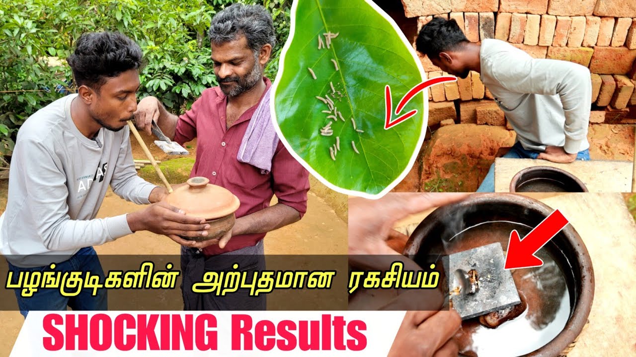 அட இது தெரியாம போச்சே😲Amazing tribes secret | Kerala Travel vlog in tamil| Edison vlogs Tamil