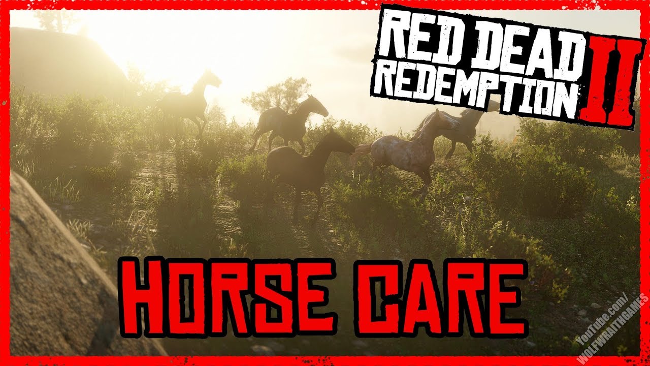 Horse Care and Maintenance - Red Dead Redemption 2 - Horse Guide (PS4)