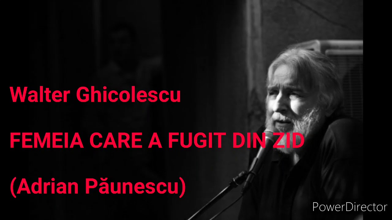 Walter Ghicolescu - Femeia care a fugit din zid (live)