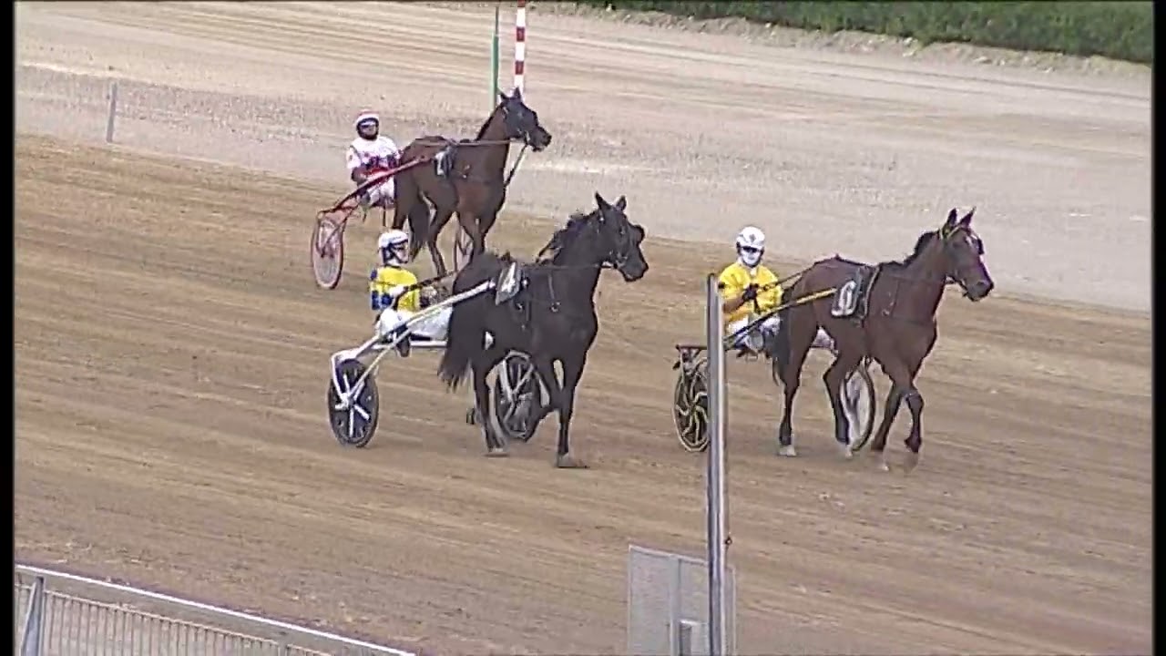 Ippodromo dei Sauri - I batteria corsa amatoriale del 29.5.2022
