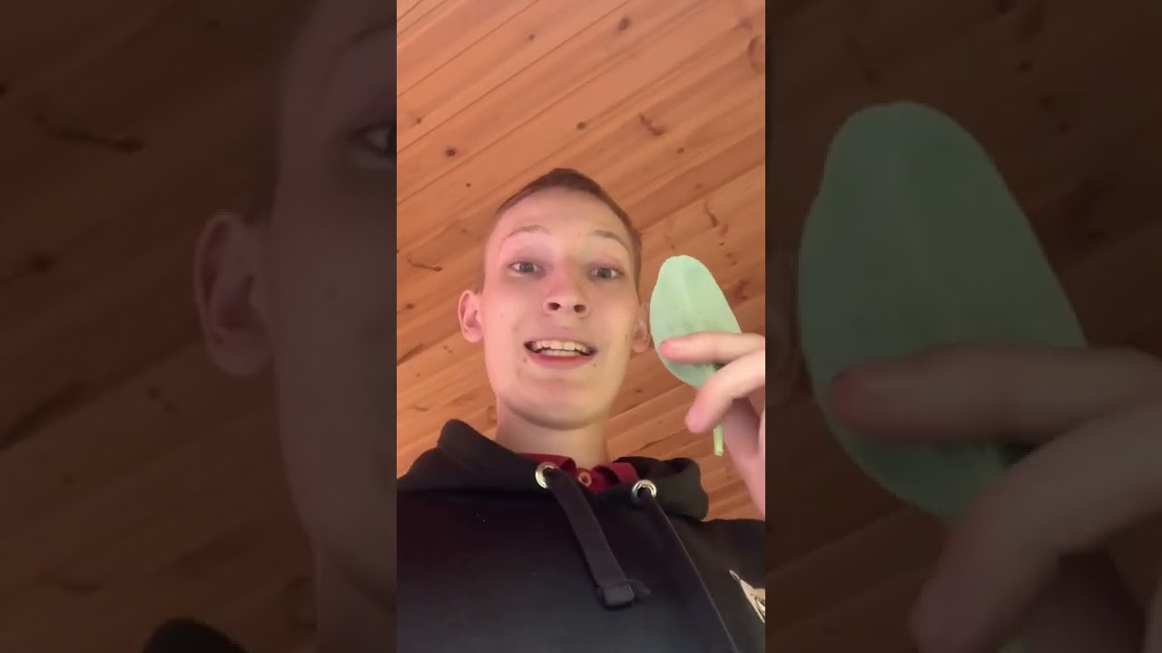 A plant that tastes like OYSTERS?!😱