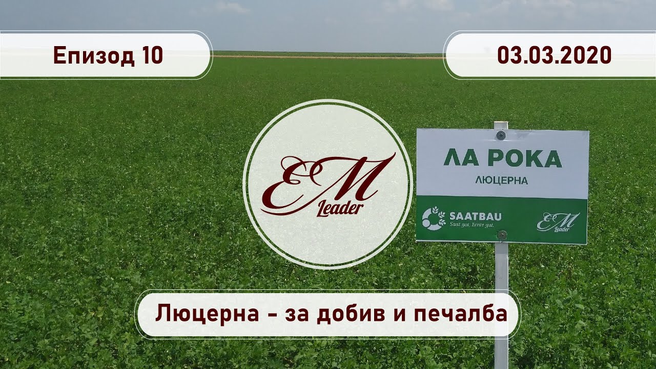 Лидер Консултинг ЕООД, еп. 10 - люцерна - за добив и печалба