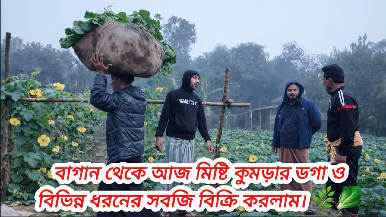 বাগান থেকে আজ মিষ্টি কুমড়ার ডগা ও বিভিন্ন ধরনের সবজি বিক্রি করলাম। 🌿🥬