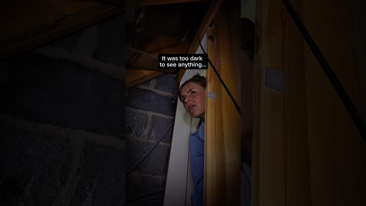 Story inspired by the Denver Spider-Man case and other true stories. #Horror #Truecrime #Scary