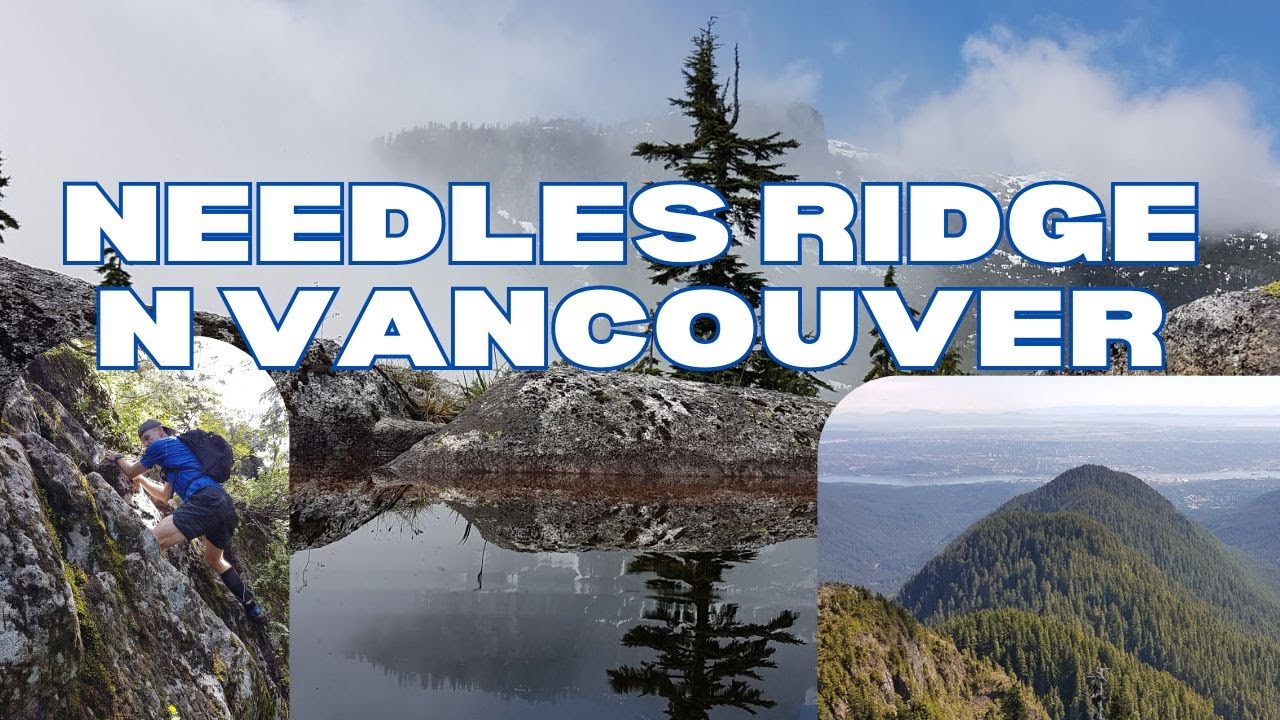 Supreme Bushwhacking on the Needles Traverse, a North Vancouver Classic