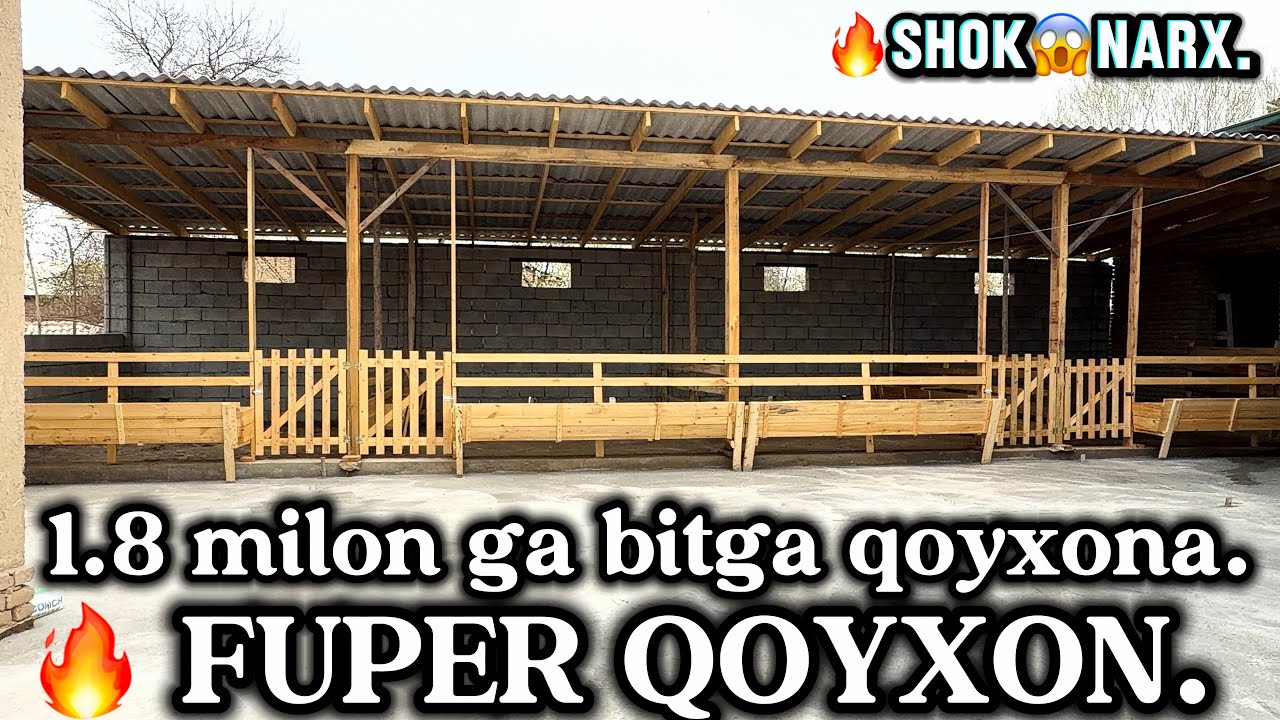 😱 1.8 milon ga bitgan SUPER QOYXONA.🔥 80 TA QOYGA MOSLANGAN 1.5 SOTIK.