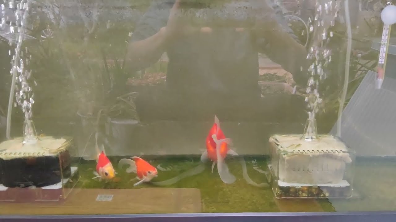 不 玉サバ 2026/3/6 水温11℃
