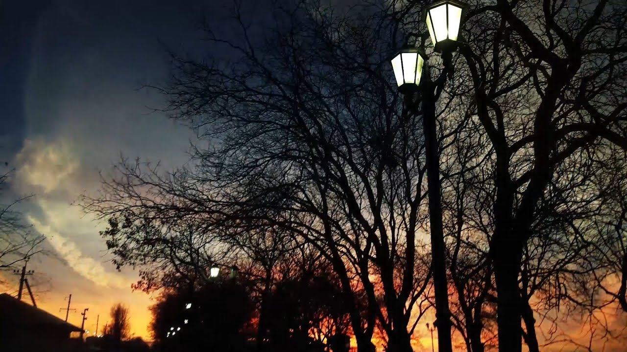 Queen   Bijou video Philipp Traum