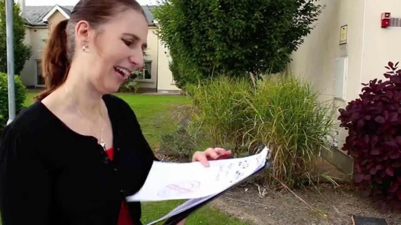 Something is coming to Avon Ri, Part II - Christmas 2014
