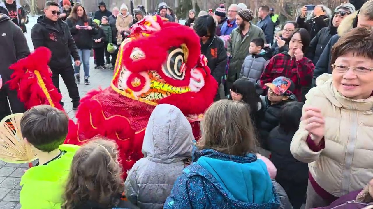 NYC Views Chinese New Year celebrations in the East Village. 