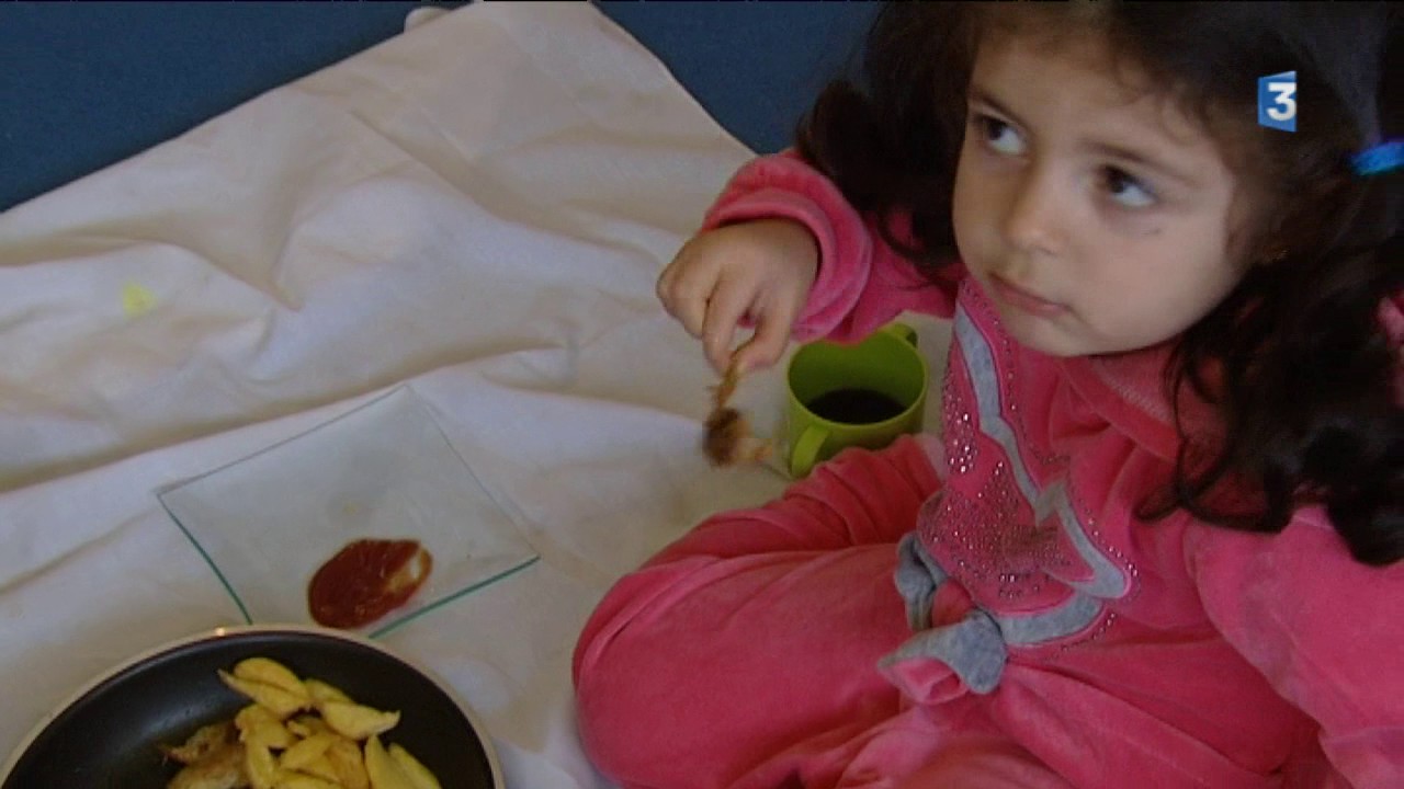 Côte-d'Or : Rouvray accueille des familles syriennes ayant fui la guerre