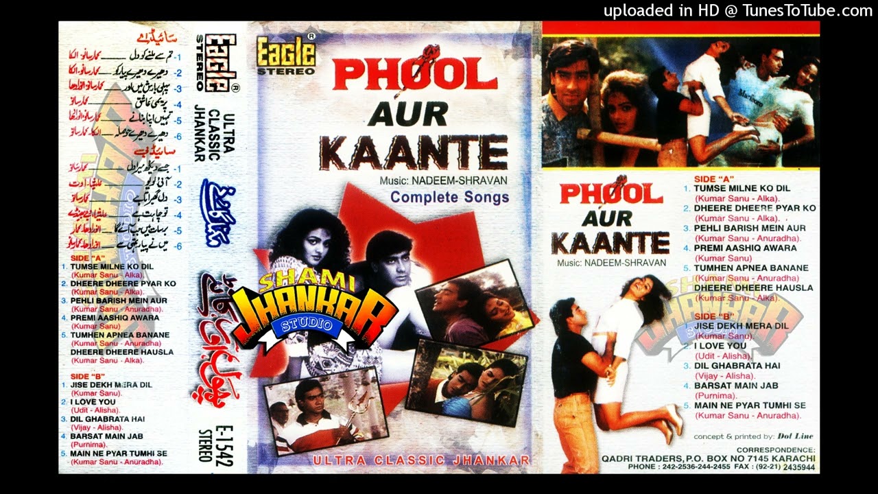 Jise Dekh Mera Dil Dhadka (Kumar Sanu) Phool Aur Kaante - E-1542