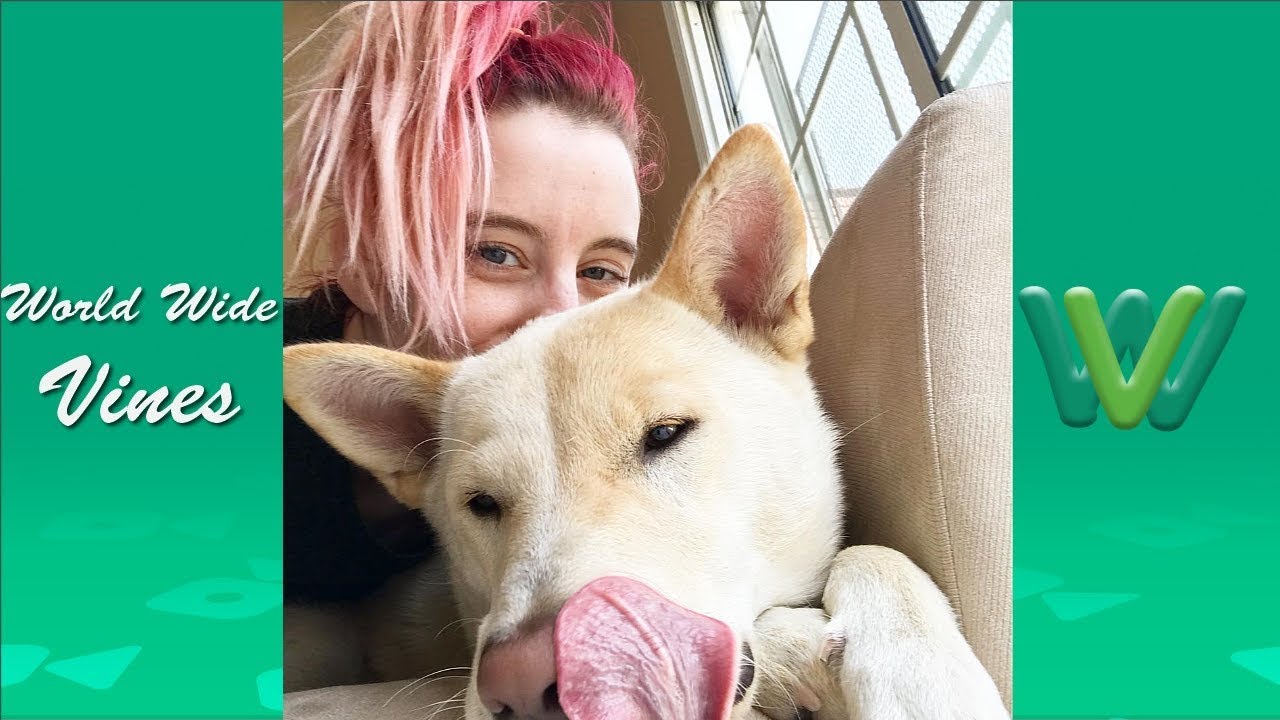 Funny Carly Incontro Vine Videos 2019 | Best Carly Incontro Vines  2019