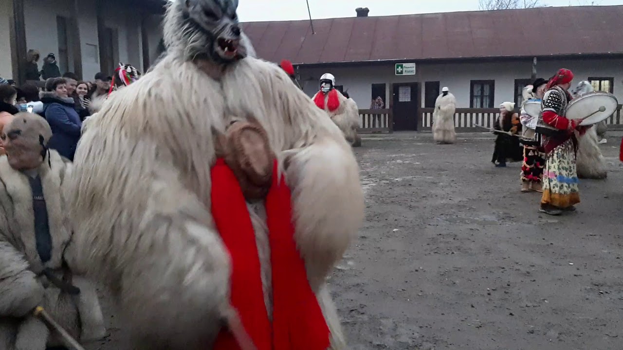 Urșii de la Rotunda(31.12.2020)part.2