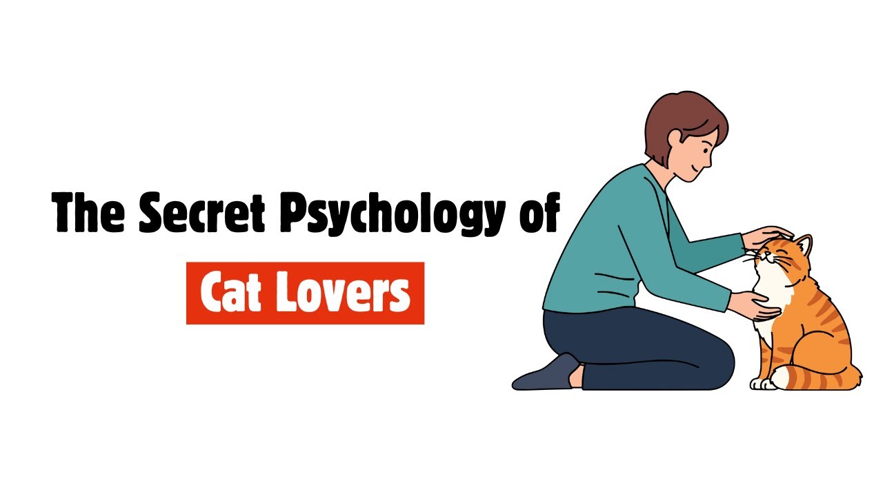 The Psychology of People Who Love Cats