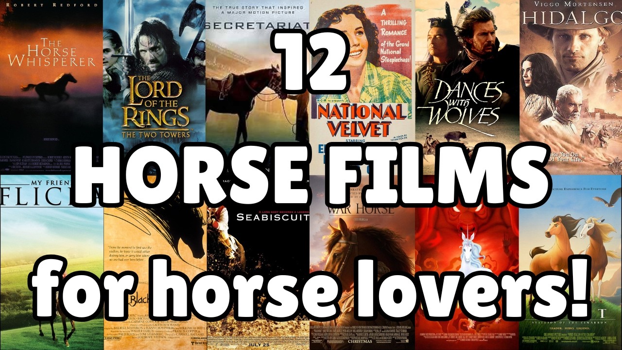 HORSE MOVIES for the Year of the Horse! - How many have YOU seen? - Jason On Movies