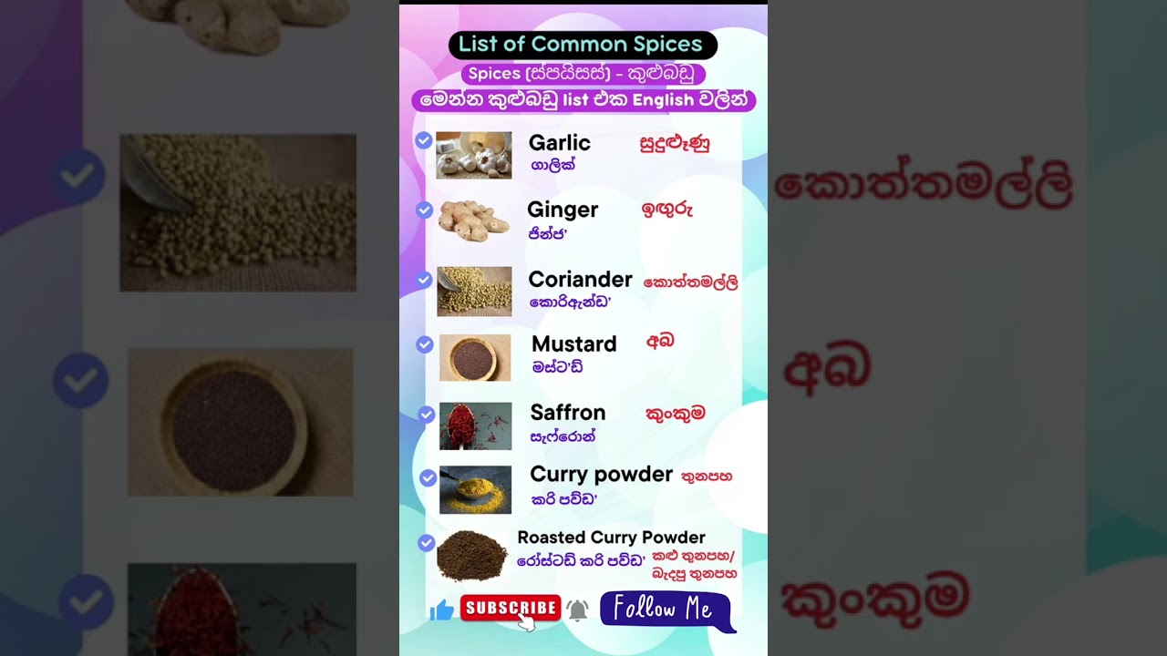 එදිනෙදා කතාවට ඉංග්‍රීසි | Daily Use English 📚💥 