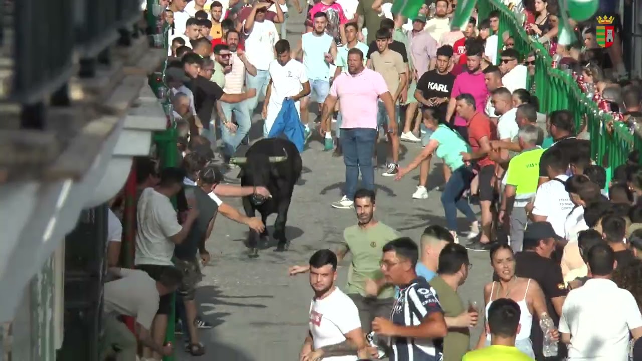 SEMANA DEL TORO DE PATERNA DE RIVERA 2025.