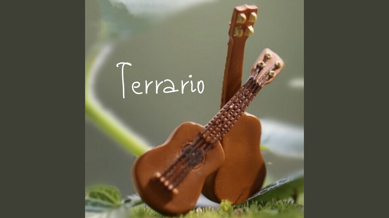 Tortuga Voladora