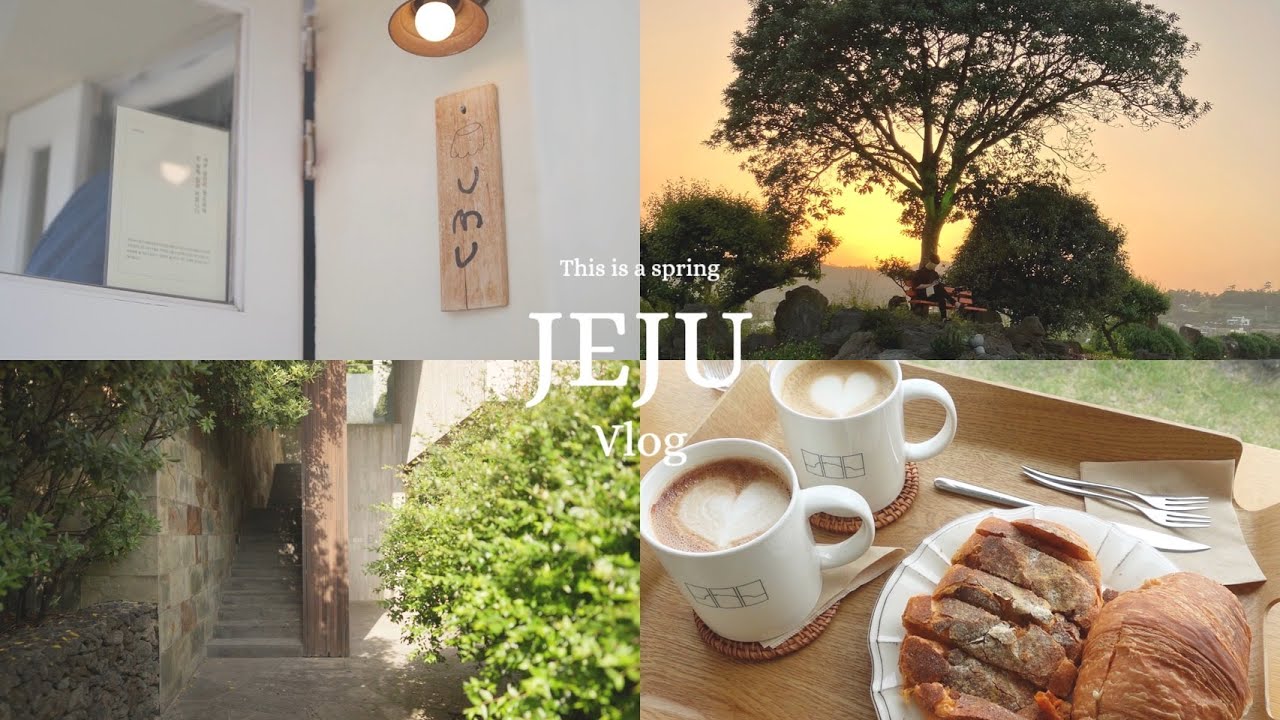 春のチェジュ島で過ごす休日🏝️🍊カフェ巡りとおすすめリゾートホテル #jeju #bayhillpoolvilla #umu【韓国旅行vlog】