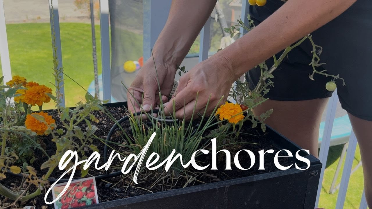 GARDEN CHORES | Drip Emitters & Checking My Containers