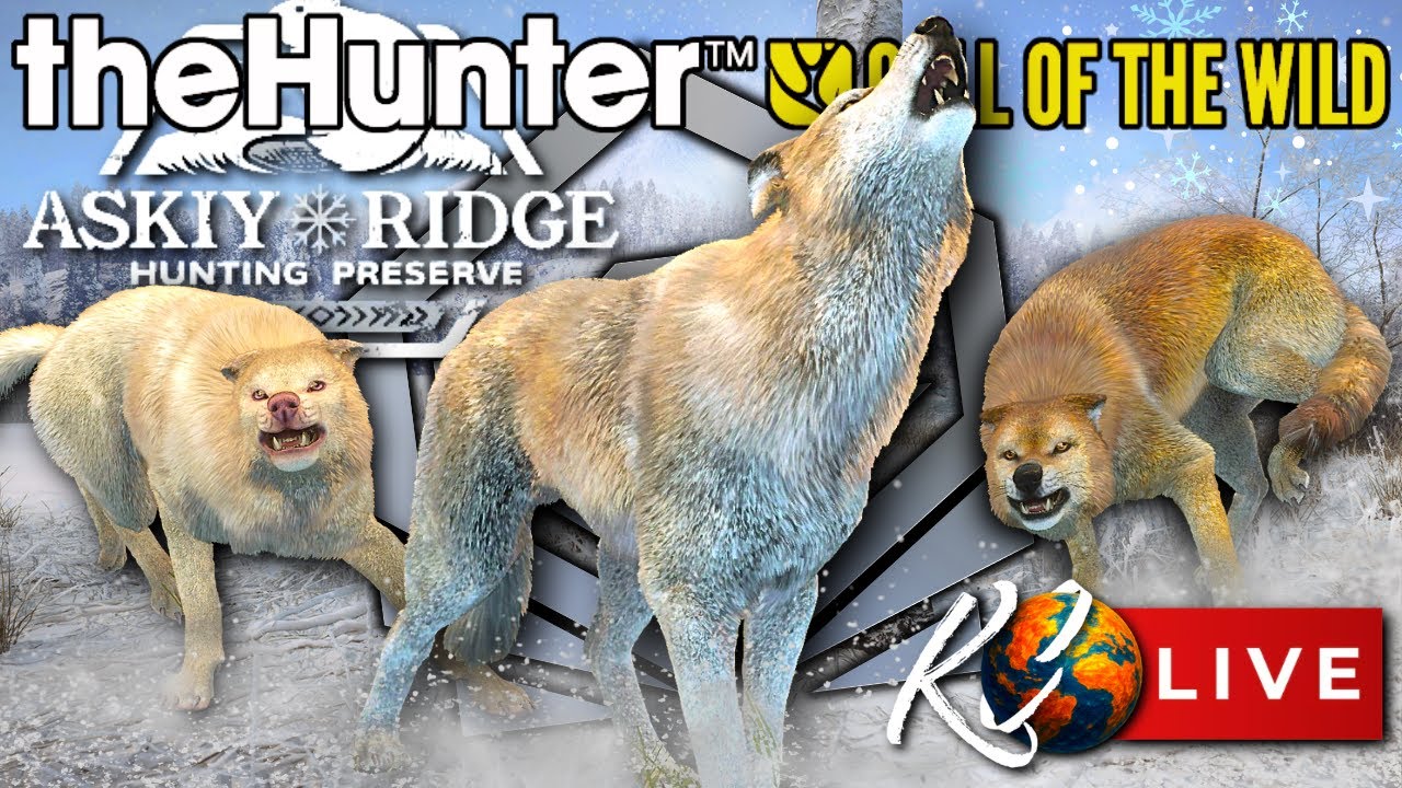 🔴*WE'RE BACK?..* Hunting for RARE Wolves & Chatting About the Future - Call of the Wild