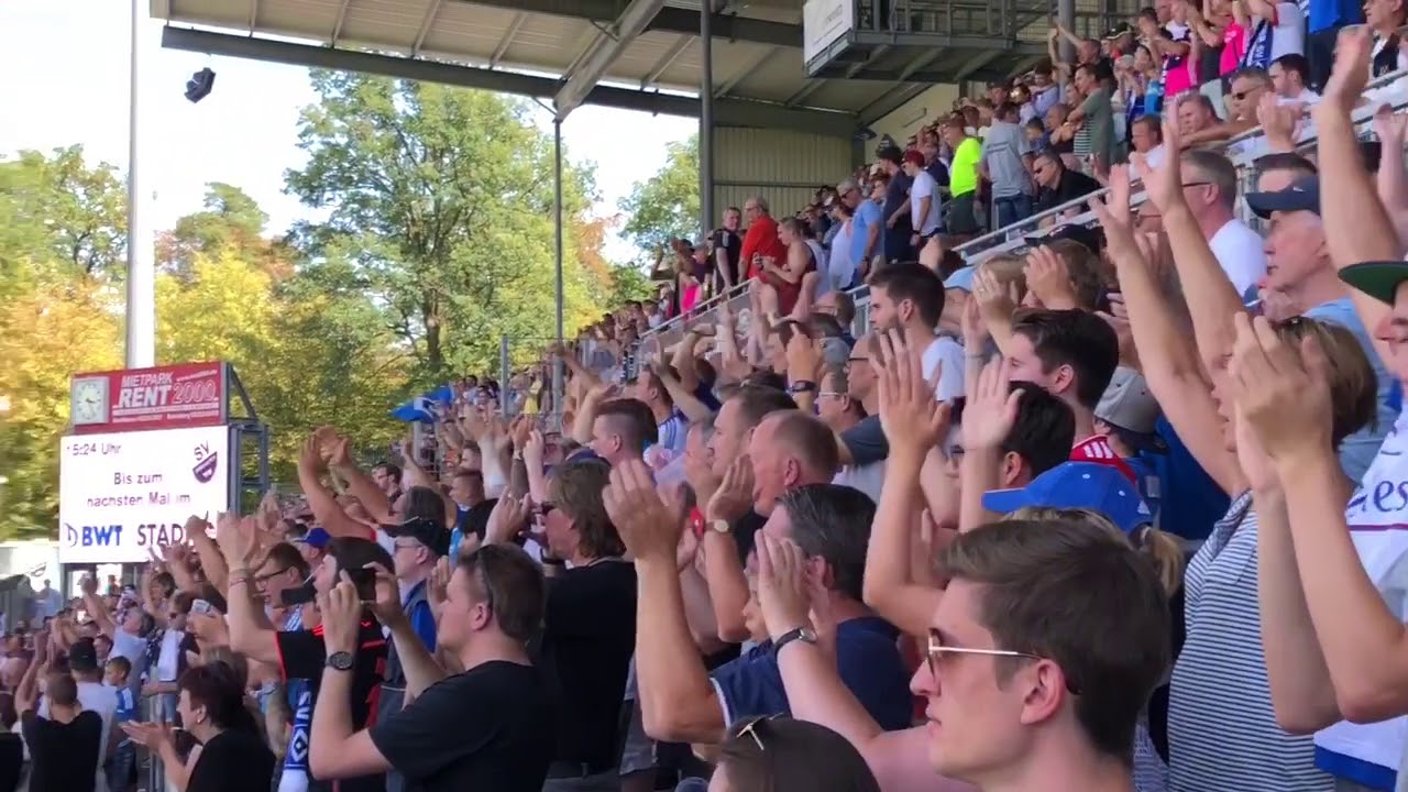 2. Bundesliga 2018/2019 SV Sandhausen-Hamburger SV, HSV Fans Stimmung, Support, Jubel