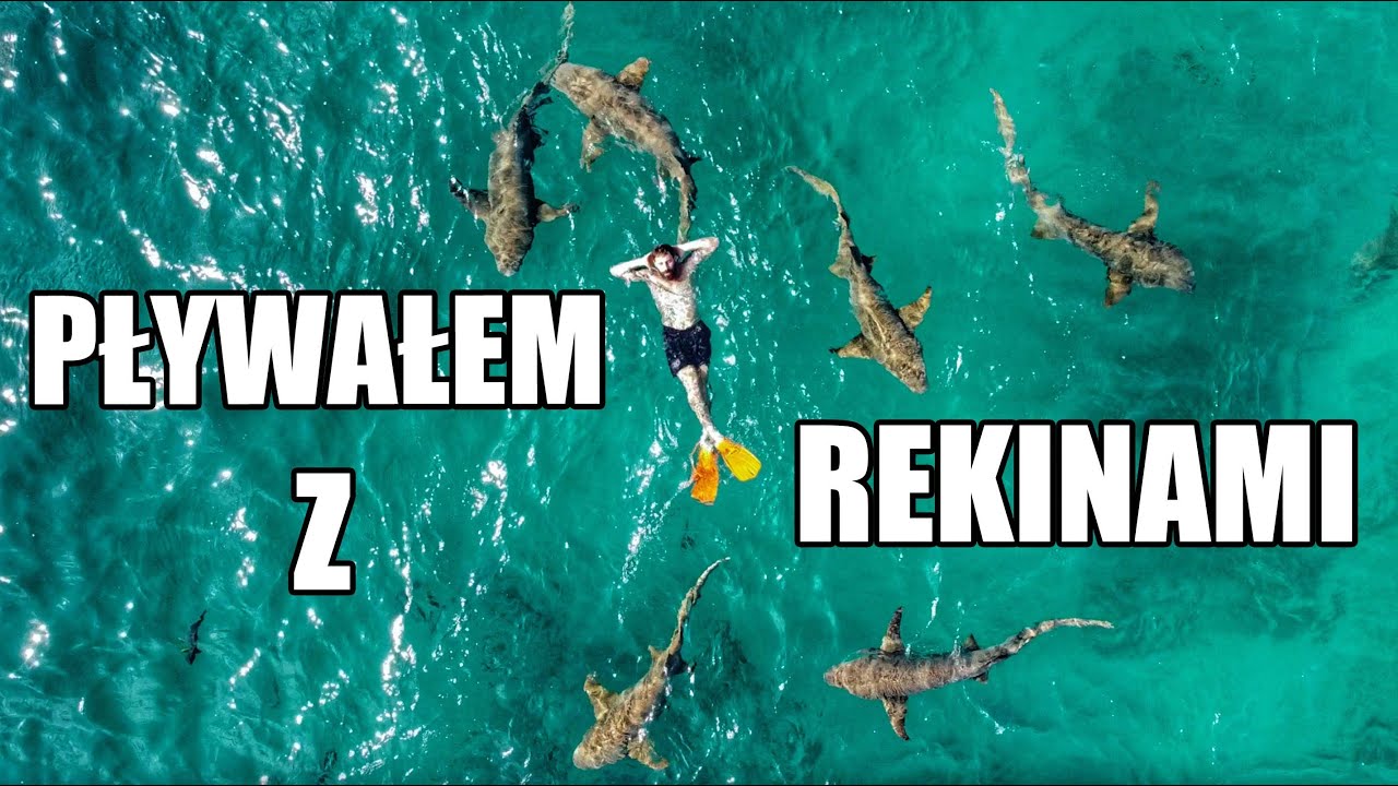 MALEDIWY - PŁYWAŁEM Z REKINAMI! - BYŁEM ZESR💩NY 🇲🇻