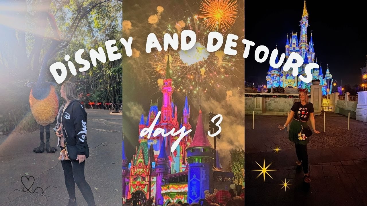 WALT DISNEY WORLD DAY 3
