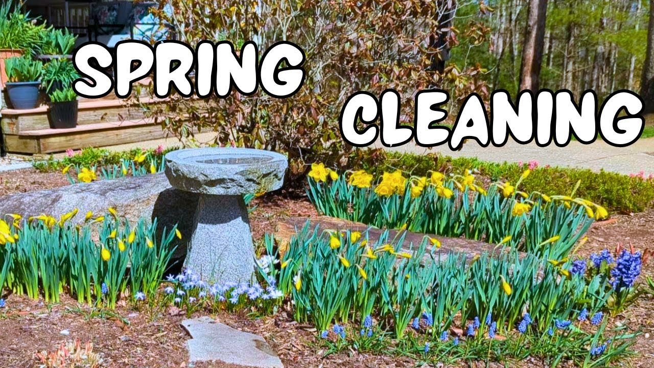 How To Divide Muscari Grape Hyacinth Spring Larkspur Corydalis | Spring Garden Cleanup
