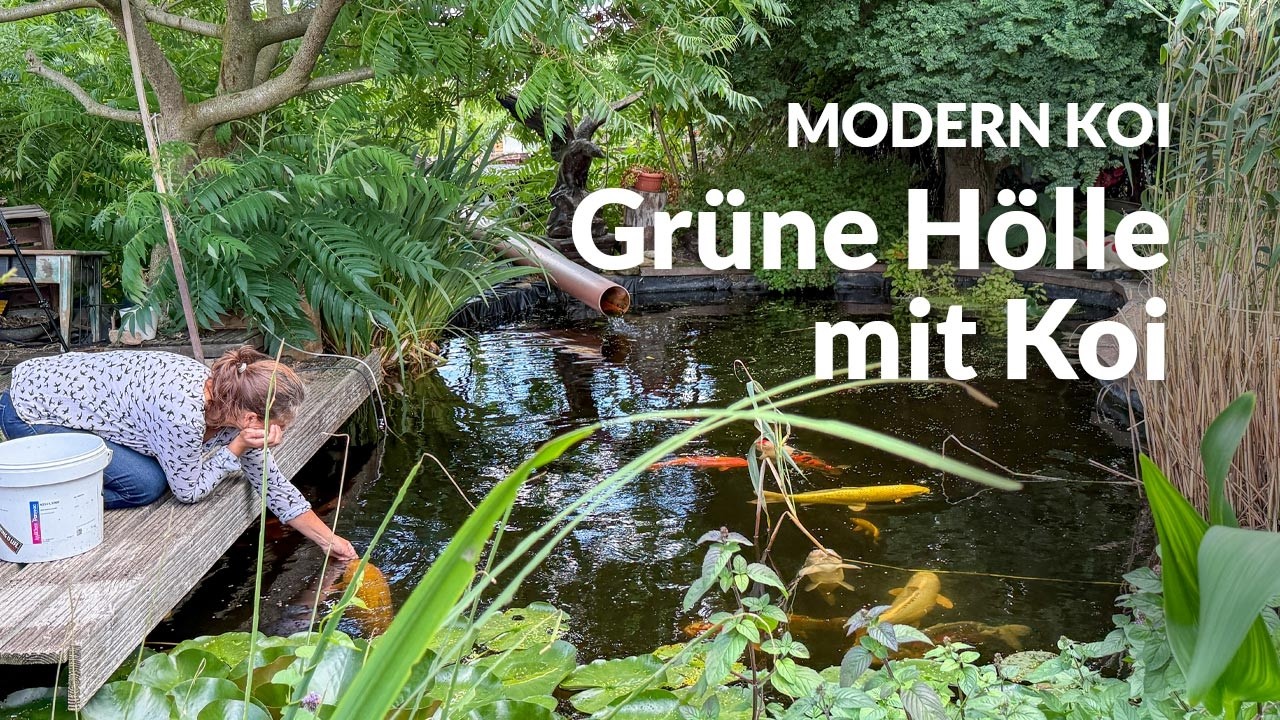 Ekkis 28.000l Koiteich im Kleingarten | Modern Koi Blog #7965