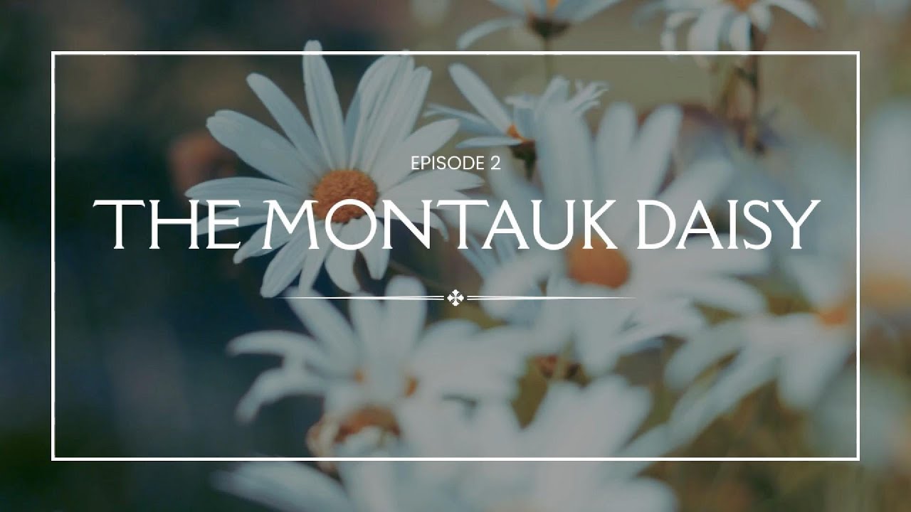 Episode 2: The Montauk Daisy | Growing on Your Own Timeline