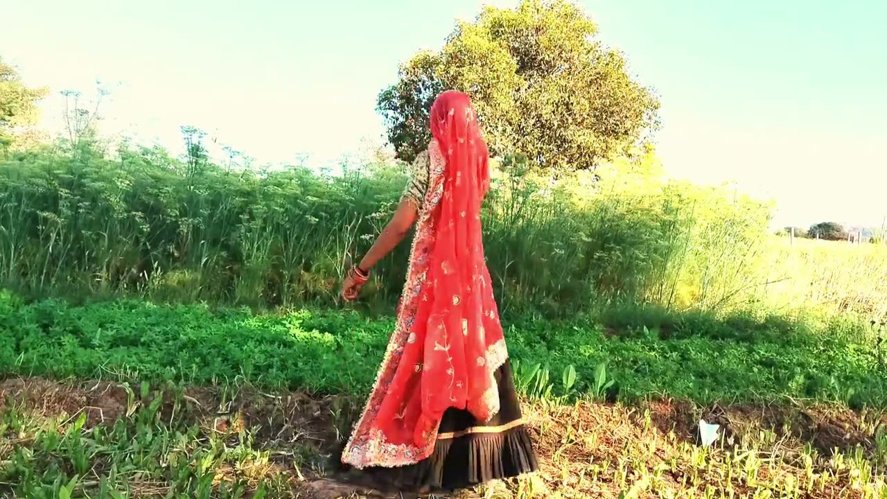 लेडीज मीणा गीत तोन बहुत महंगों पडगो पगों यार सु लेबो सिंगर रामु कुशालपुरा 