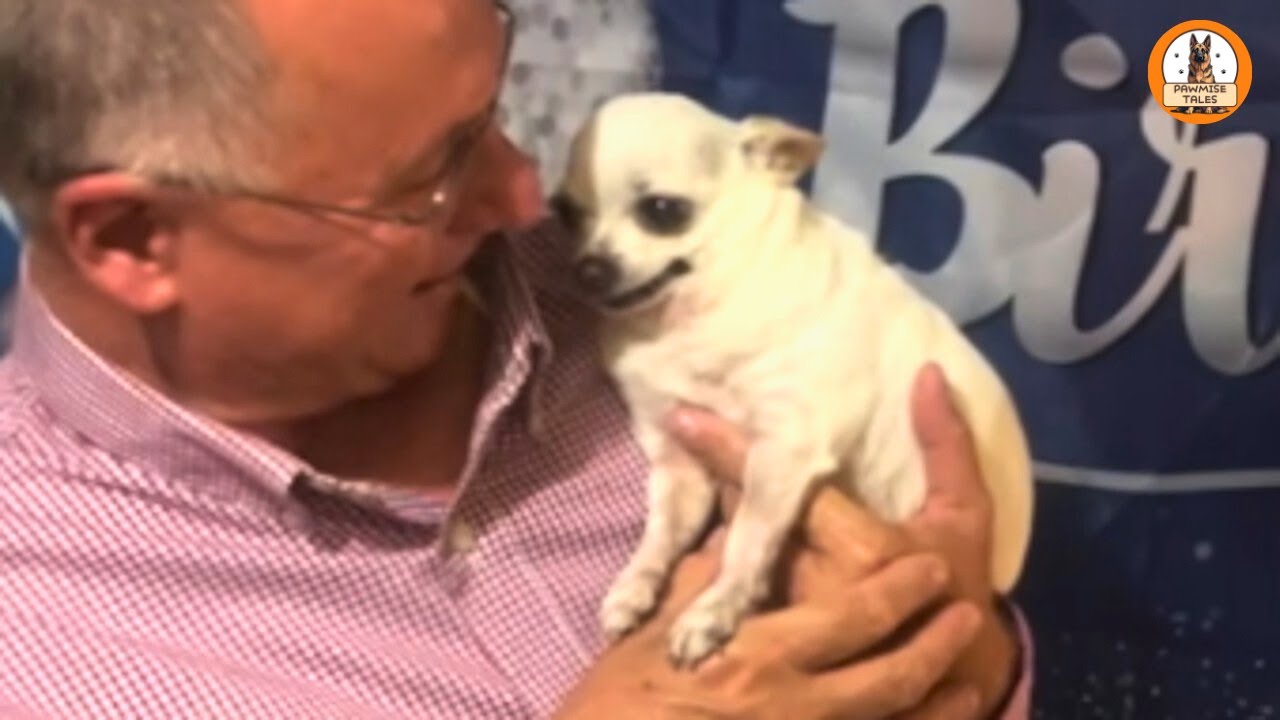 This 2.5-Pound Dog Was Left to Die — Now She Loves Her Grandpa