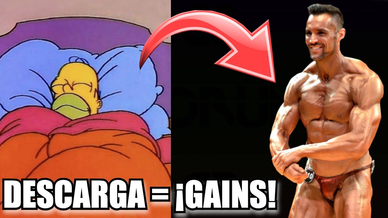 DESCARGA 😴  y AUMENTA TUS GAINS 💪🏻