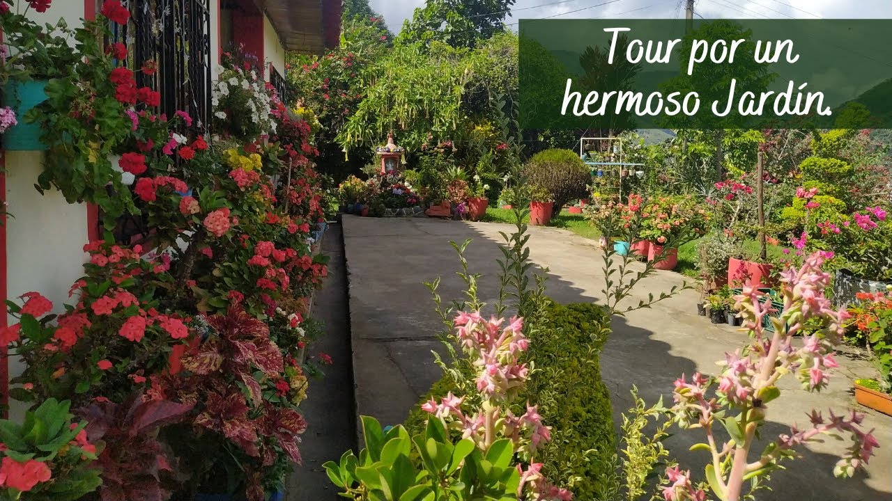 Tour Por un hermoso jardín | Jardín Diaz