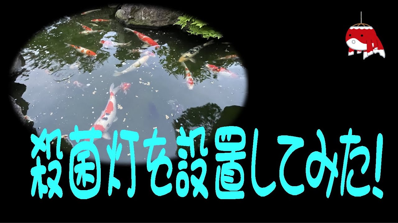 殺菌灯を設置してみた！