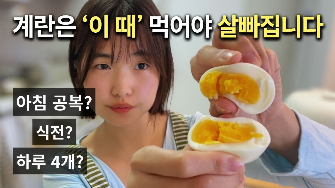 계란은 '이때' 먹어야 살 빠집니다(-10kg 다이어트 치트키, 구체적 방법 포함)