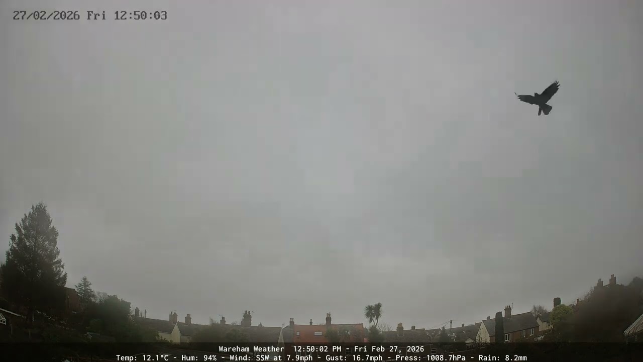 Wareham - Daily Time-lapse - 27/02/2026