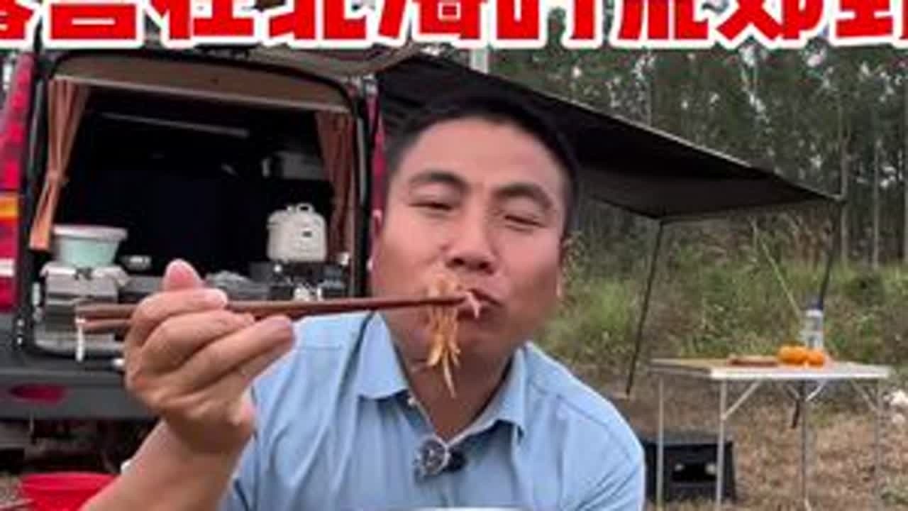 开着面包车浪迹天涯，露营在北海的荒郊野外，腊鸭腿炒萝卜真下饭 #自驾游 #旅行 #北海 #户外美食 #床车生活