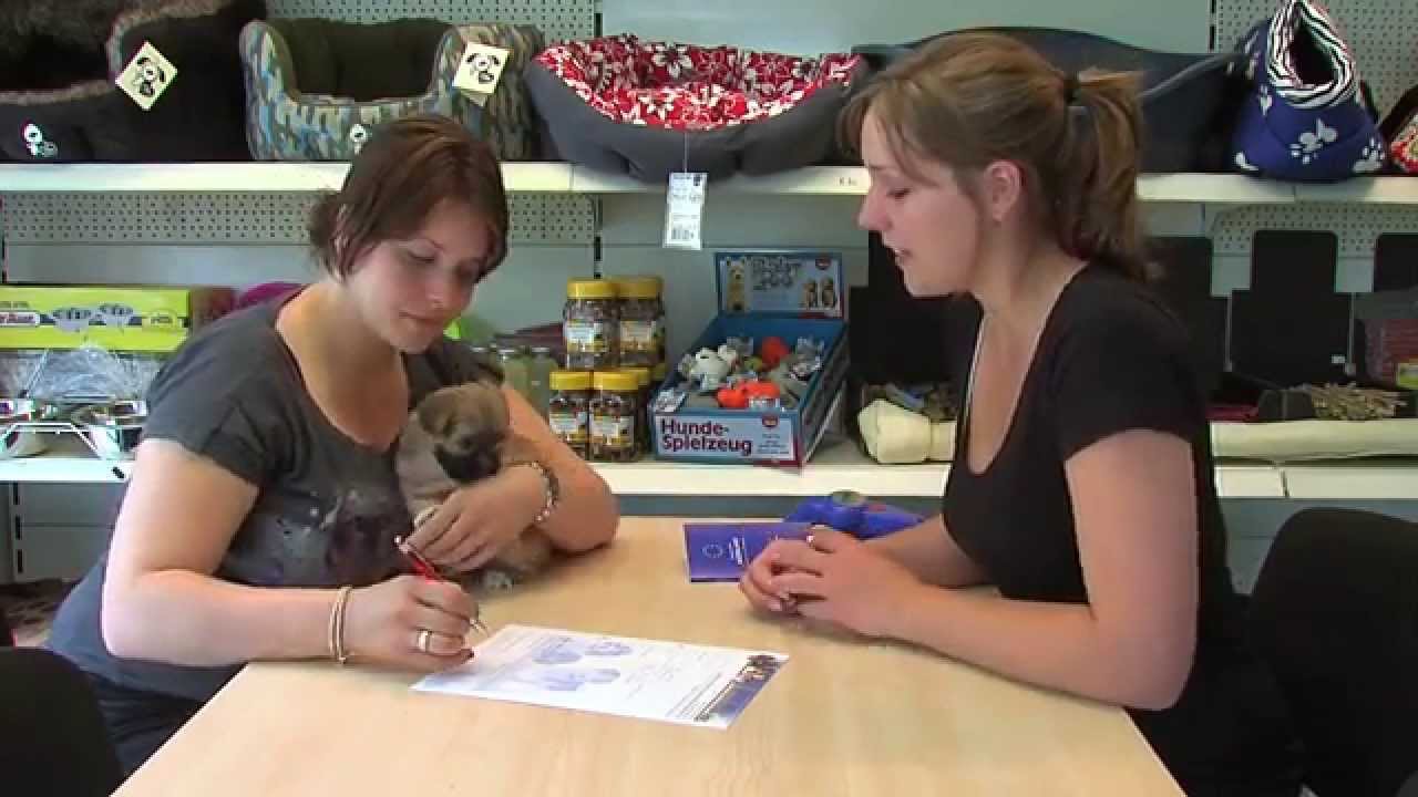 Kennel de Hoeve