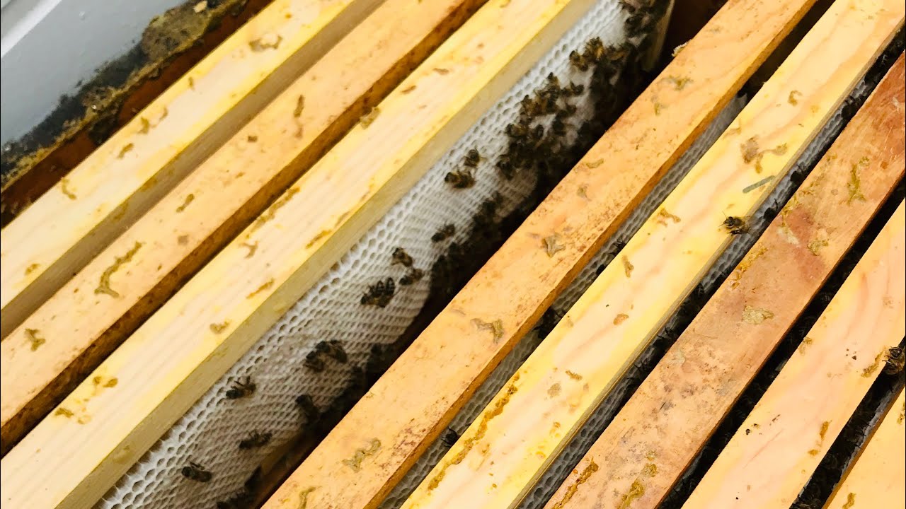 Techniques for getting foundations drawn and MORE honey in your supers!!— Frame spacing discussion