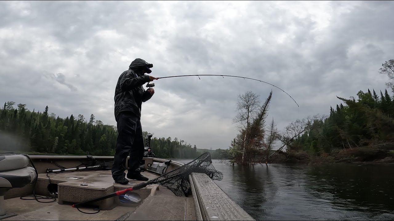 Journey to the Nipigon | Fishing for Salmon and Trout