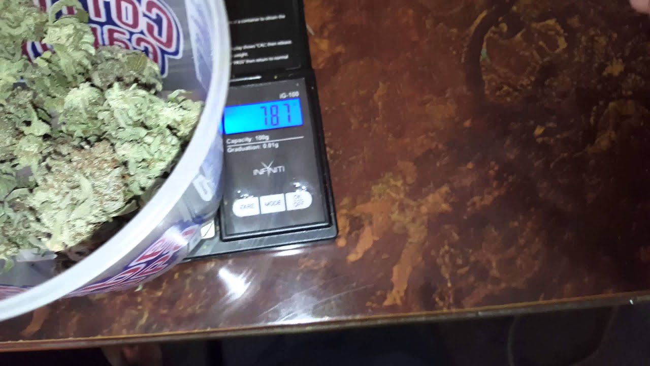Mini CFL Grow Harvest dry wieghts