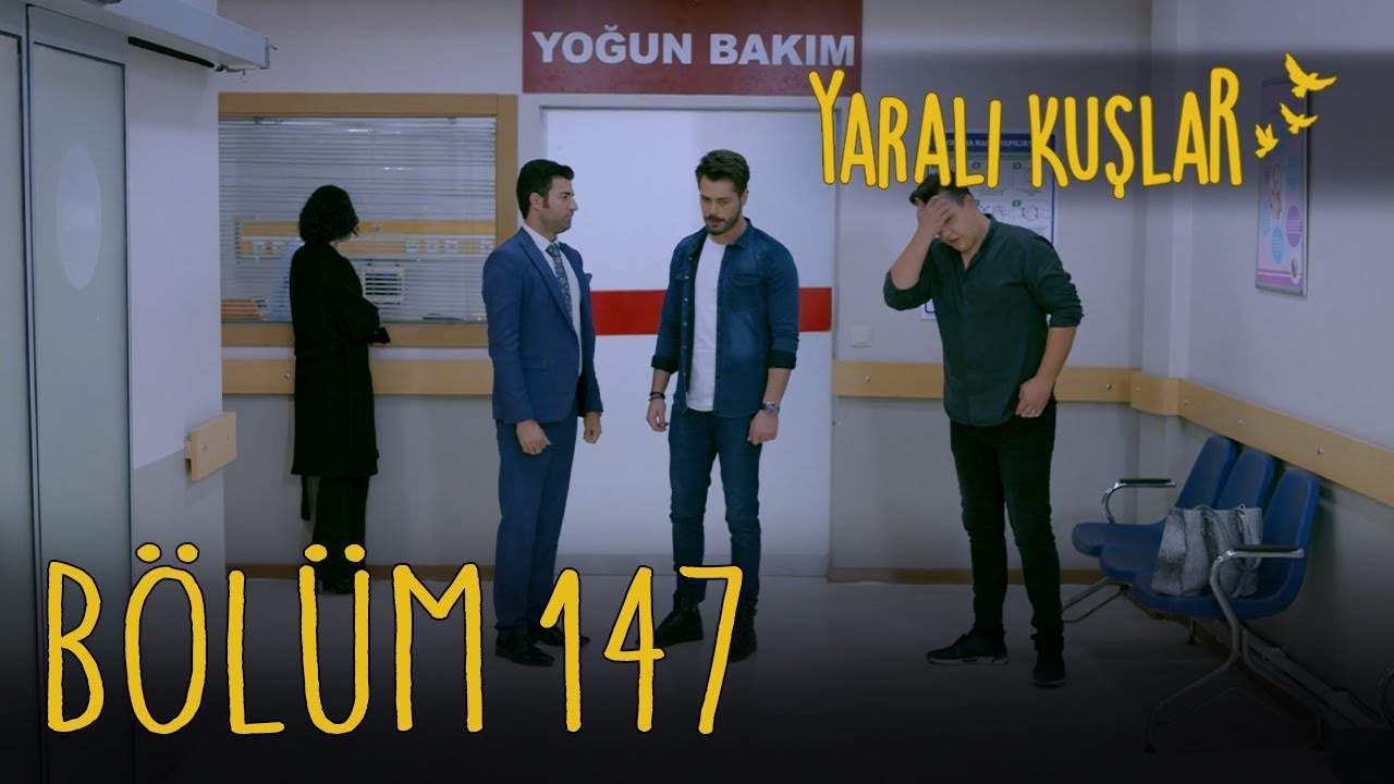 Yaralı Kuşlar 147. Bölüm