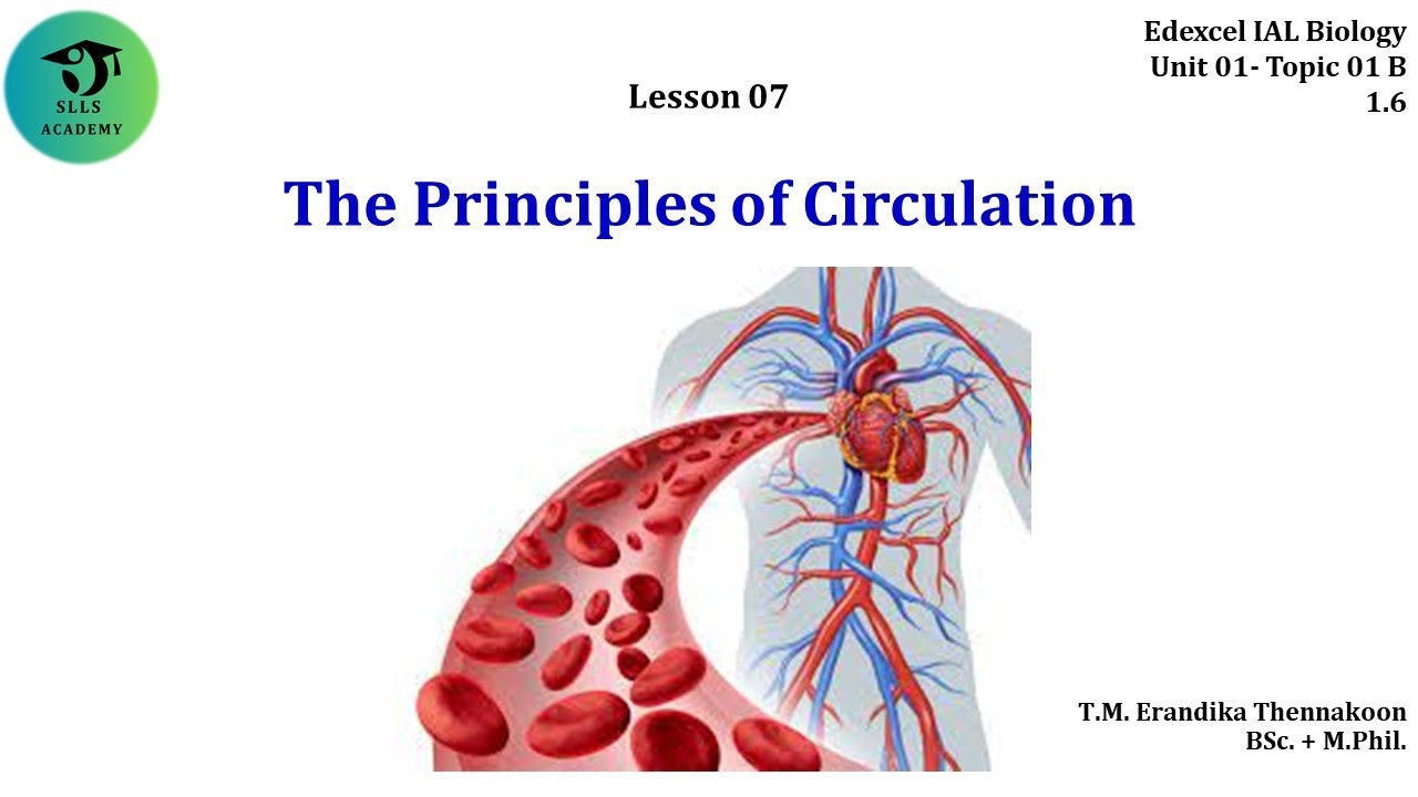 Edexcel IAL BIOLOGY UNIT 01: The Principles of Circulation